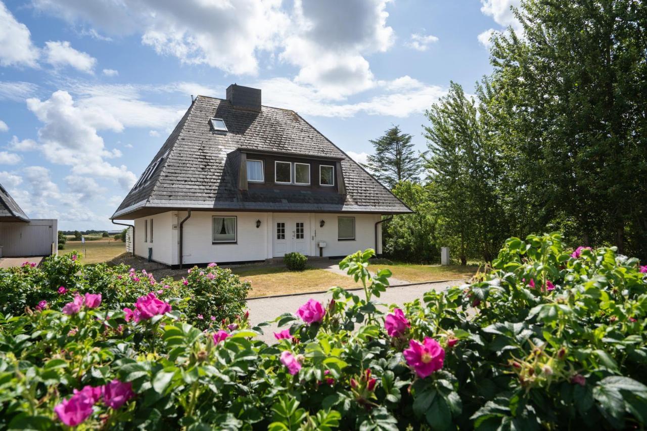 Michels Ferienwohnung Schoene Aussicht Morsum  Eksteriør billede